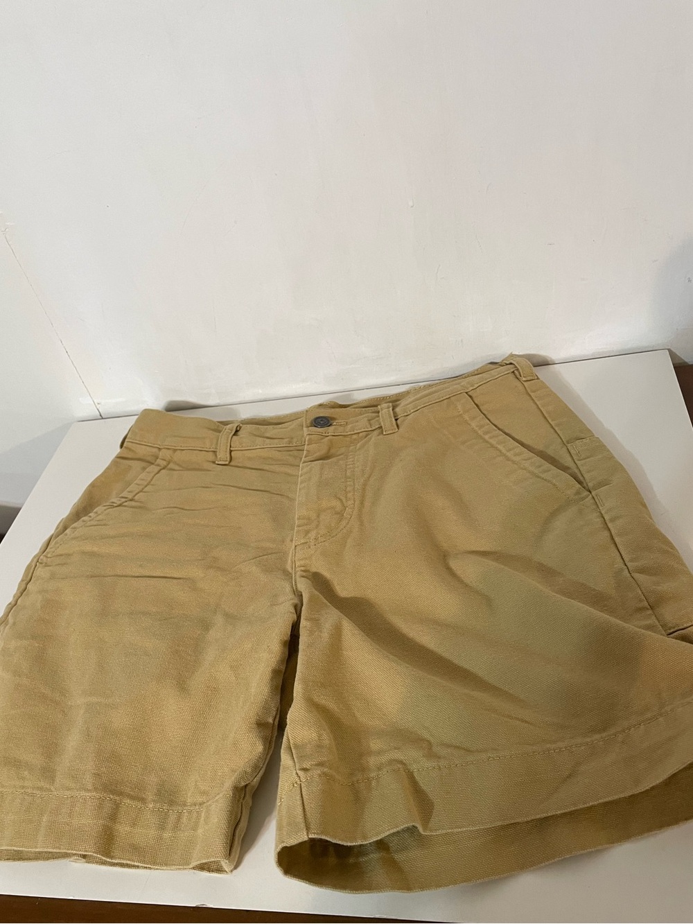 Patagonia Durable Hiking Shorts